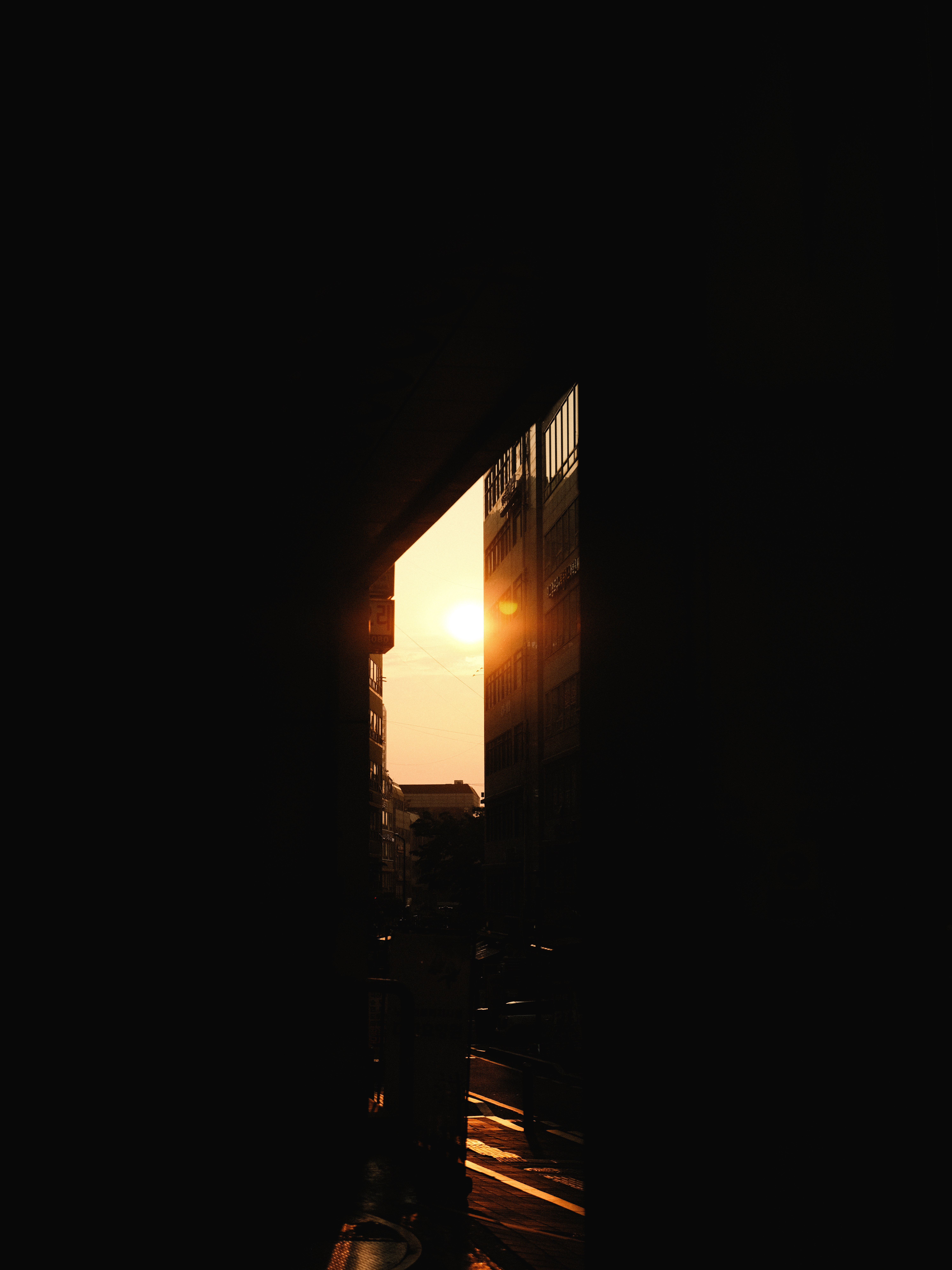DSCF4527