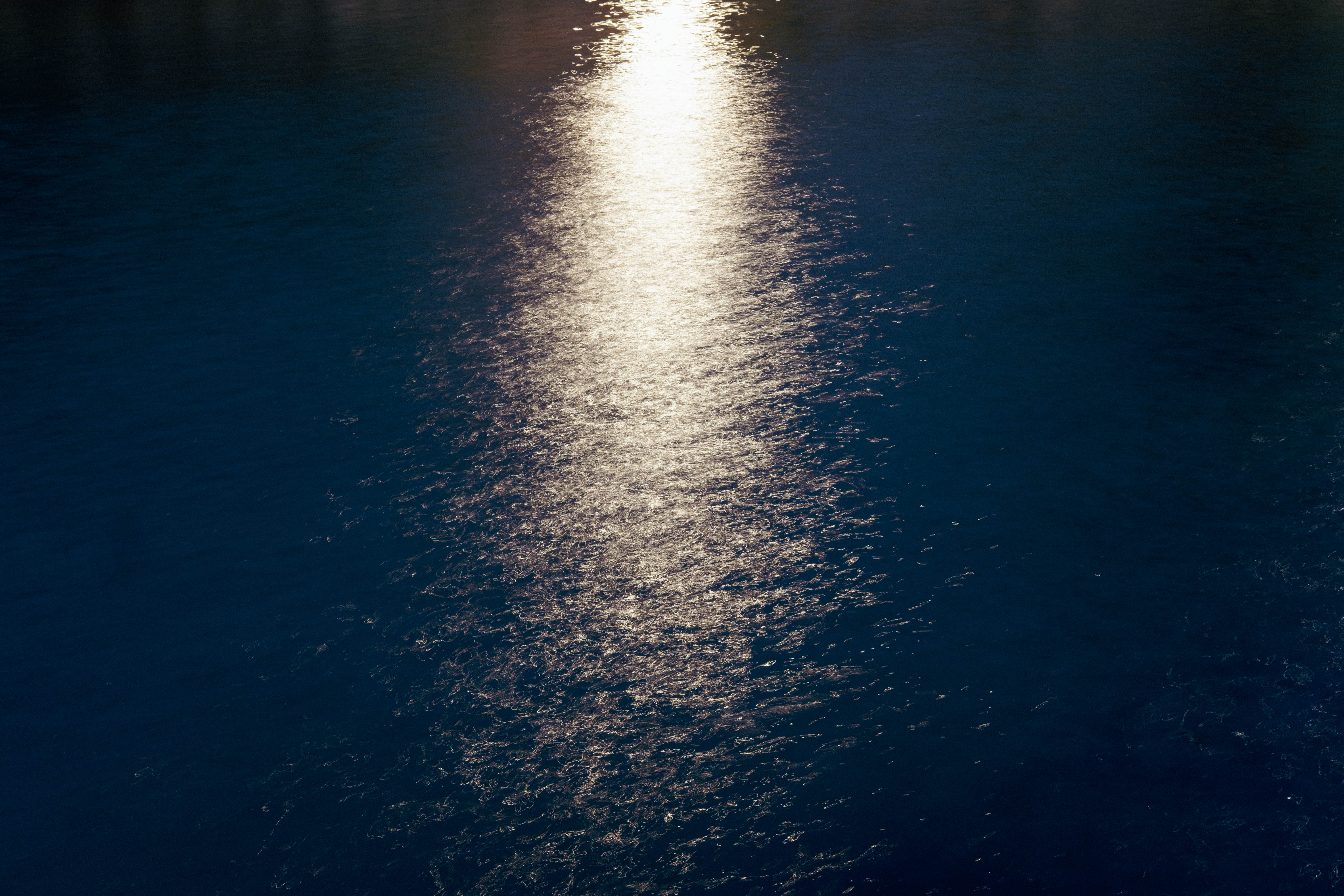 DSCF9214